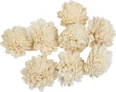 Dekorace - Sola Zinnia 4 cm - 8 ks