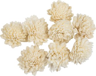 Dekorace - Sola Zinnia 4 cm - 8 ks