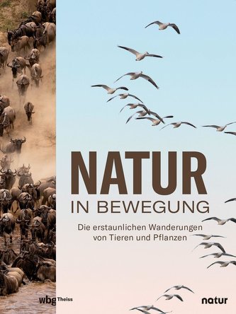 Natur in Bewegung