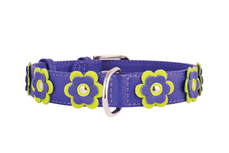 Obojek kožený Glamour Flower - fialový (46-60cm/35mm)