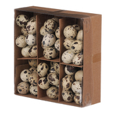 Pravá křepelčí vajíčka,  cena za 60ks v krabičce.