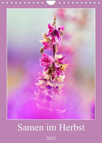 Samen im Herbst (Wandkalender 2023 DIN A4 hoch)