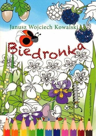Biedronka Biedronka