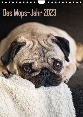 Das Mops-Jahr 2023 (Wandkalender 2023 DIN A4 hoch)