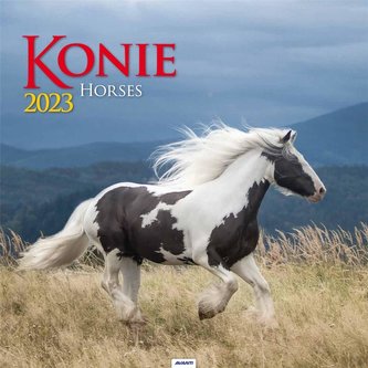 Kalendarz 2023 Ścienny Konie AVANTI