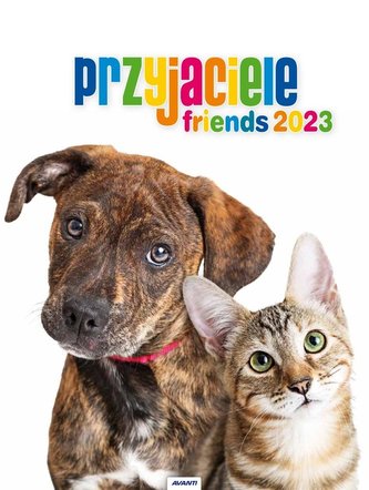 Kalendarz 2023 Ścienny spirala Przyjaciele AVANTI