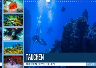 Tauchen auf den Sychellen (Wandkalender 2023 DIN A3 quer)
