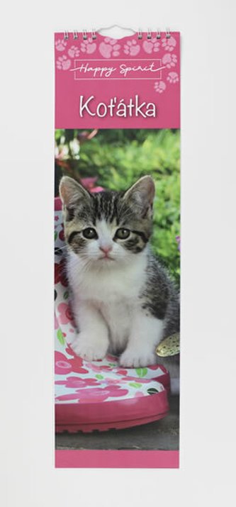 Kalendář slim: Koťátka