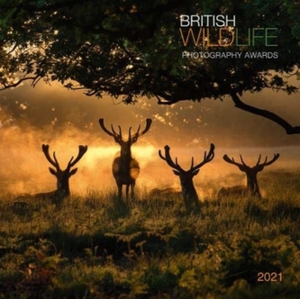 BRITISH WILDLIFE 2021 CALENDAR