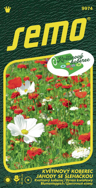 Směs Jahody se šlehačkou 6g - série KVĚTINOVÝ KOBEREC