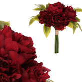 Pivoňky v pugetu, 9 hlav, barva bordó.