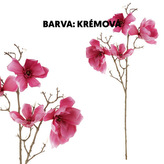 Magnolie, 4 květy, krémová barva.