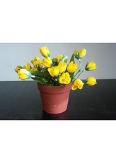 Umělá květina. Krokus - puget v plastovém obalu