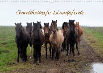 Charakterköpfe Islandpferde (Wandkalender 2023 DIN A3 quer)