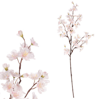 Třešeň větev, krémová barva.