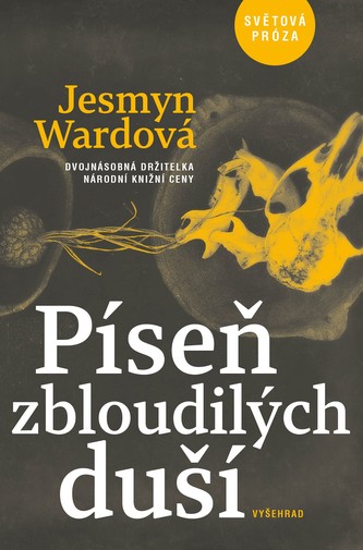 Píseň zbloudilých duší (Jesmyn Ward, 2019)