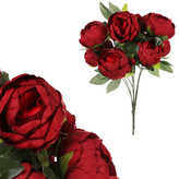 Pivoňky v pugetu, 9 hlav, barva bordó.