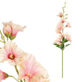 Růže slézová, růžová barva.