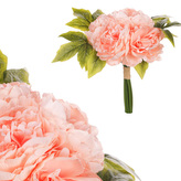 Pivoňky v pugetu, 9 hlav, barva meruňková.