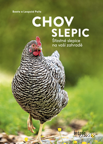 Chov slepic - Šťastné slepice na vaší zahradě