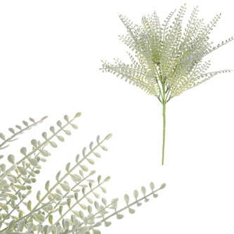 Kapradí v trsu, světle zelená barva.