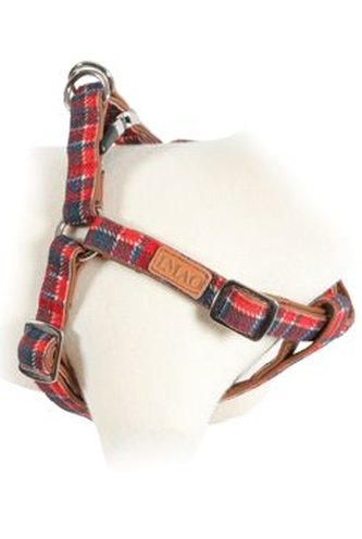 Postroj pes SCOTT nastavitelný tm.modrý 20mm Zolux