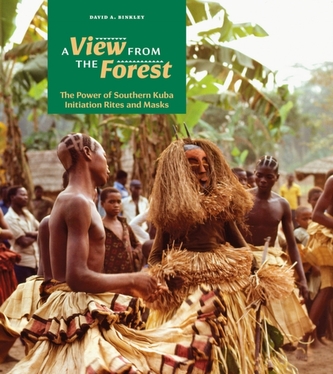 A View from the Forest