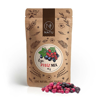 Natu Lyo mix Rybíz 45 g