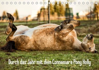 Durch das Jahr mit dem Connemara Pony Holly (Tischkalender 2023 DIN A5 quer)