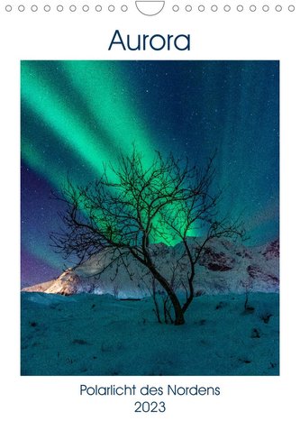 Aurora - Polarlicht des Nordens (Wandkalender 2023 DIN A4 hoch)