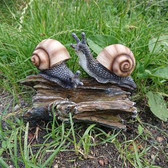 Šneci pár na dřevě poly