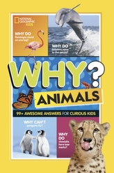 Why? Animals