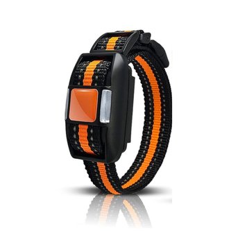 Obojek a přijímač Reedog P30