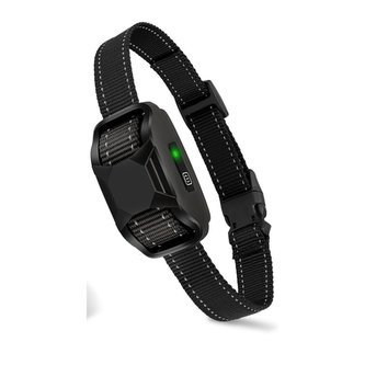 Obojek a přijímač Reedog P19