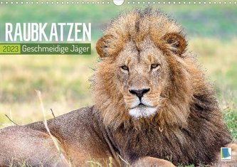 Raubkatzen: Geschmeidige Jäger (Wandkalender 2023 DIN A3 quer)