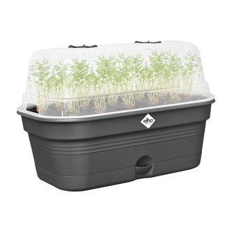 Minipařeniště Green Basics growpot tray all-in-1 39 cm - living black