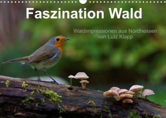 Faszination Wald. Waldimpressionen aus Nordhessen von Lutz Klapp (Wandkalender 2023 DIN A3 quer)