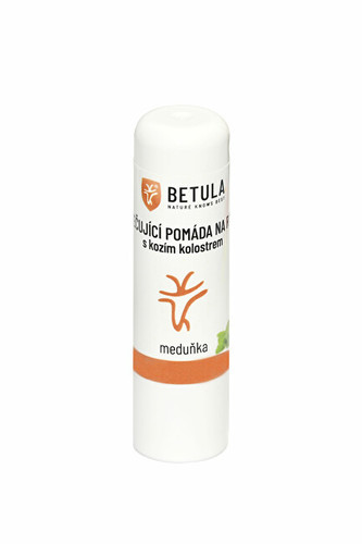 Betula pendula Pečující pomáda na rty s kozím kolostrem - meduňka 4,2 g