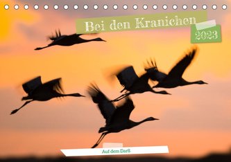 Bei den Kranichen (Tischkalender 2023 DIN A5 quer)