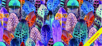 Obálka na peníze Barevná pírka - Obálky na peníze