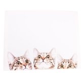 Obraz na plátně, 0/24