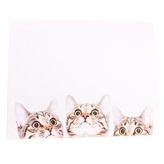 Obraz na plátně, 0/24