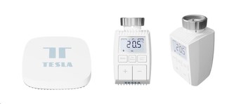 Tesla Smart Bundle Basic 2 (2x Valve + Hub) Tesla Smart Bundle Basic 2 (2x Valve + Hub)
