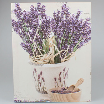 Nástěnný obraz, 0/24