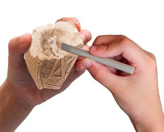 Zwierzęta z gospodarstwa rolnego PIATNIK