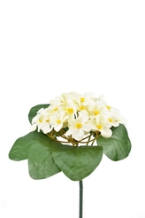 Kytička fialek 21,5 cm, bílá