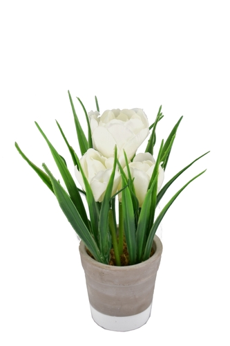 Tulipán v květináči 22 cm bílý