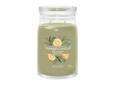 YANKEE CANDLE Sage & Citrus svíčka 567g / 5 knotů (Signature velký)