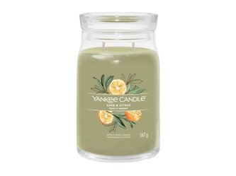 YANKEE CANDLE Sage & Citrus svíčka 567g / 5 knotů (Signature velký)