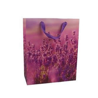 Dárková taška A0159/4